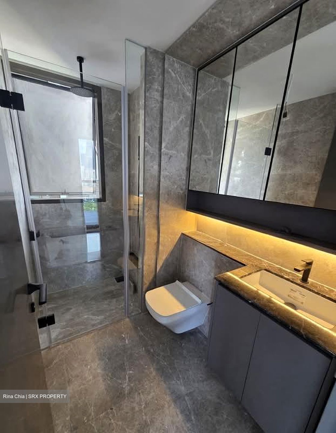 The Landmark (D3), Condominium #569350491